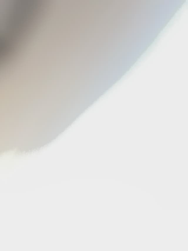 Volkswagen Jetta ADDITIONAL