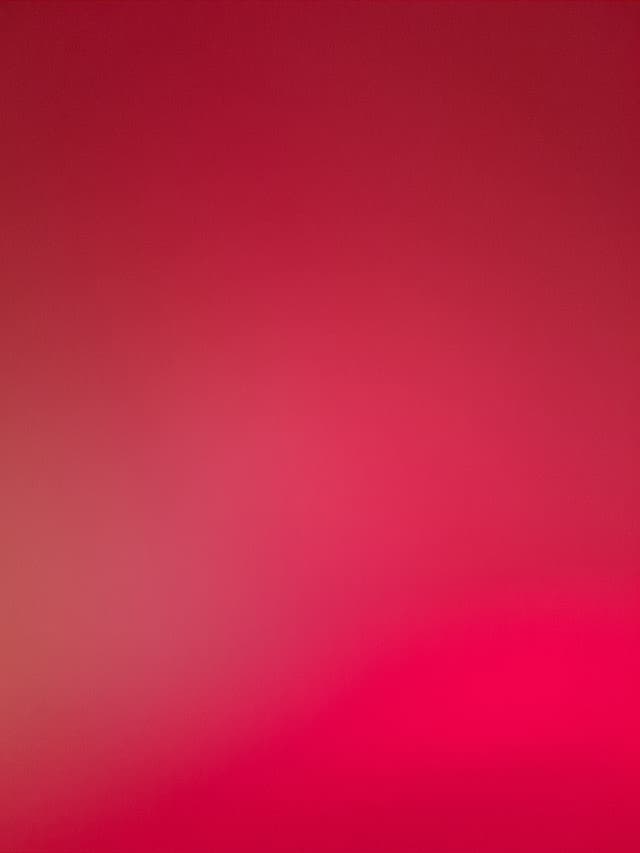 Hyundai Sonata WHEEL_ARG