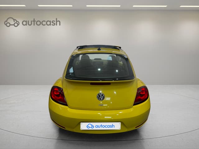 Volkswagen Coccinelle REAR