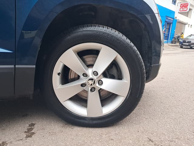 Skoda Karoq WHEEL_ARG