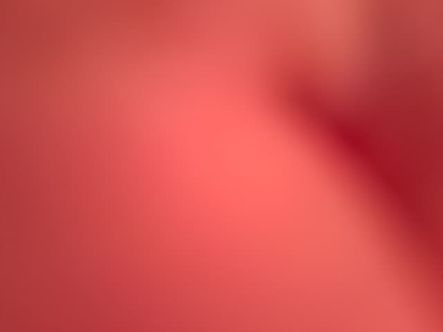 Seat Ibiza WHEEL_AVD