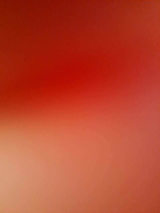 Seat Ibiza WHEEL_ARG