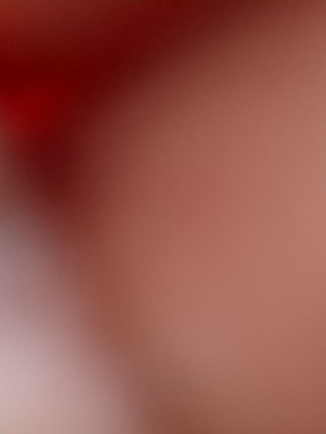 Land rover Range Rover Evoque WHEEL_ARG